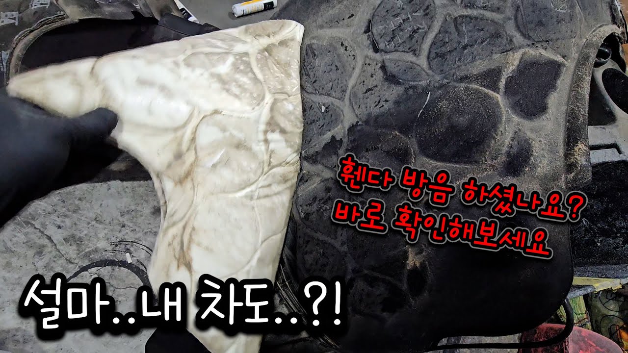 휀다 방음 받으셨다면 확인해보세요! / 제네시스 GV80