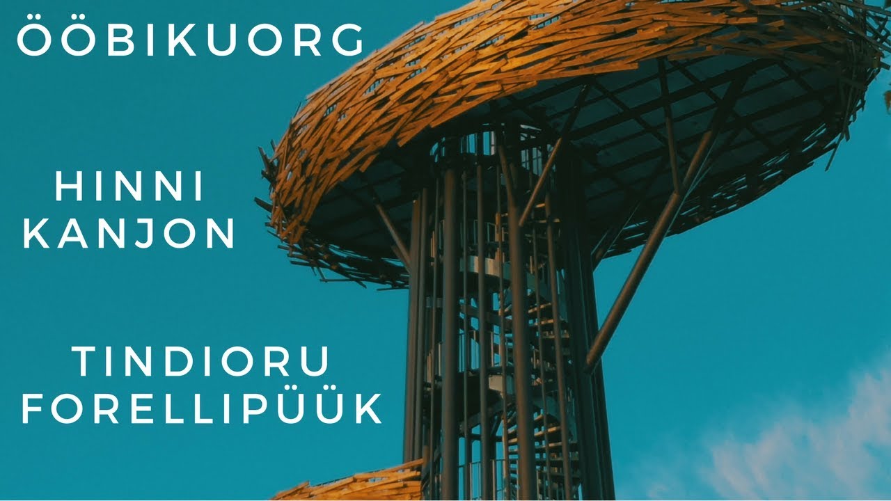 Hinni kanjon  I  Ööbikuoru vaatetorn Pesapuu I  Tindioru forellipüük  I  Adventure in Rõuge