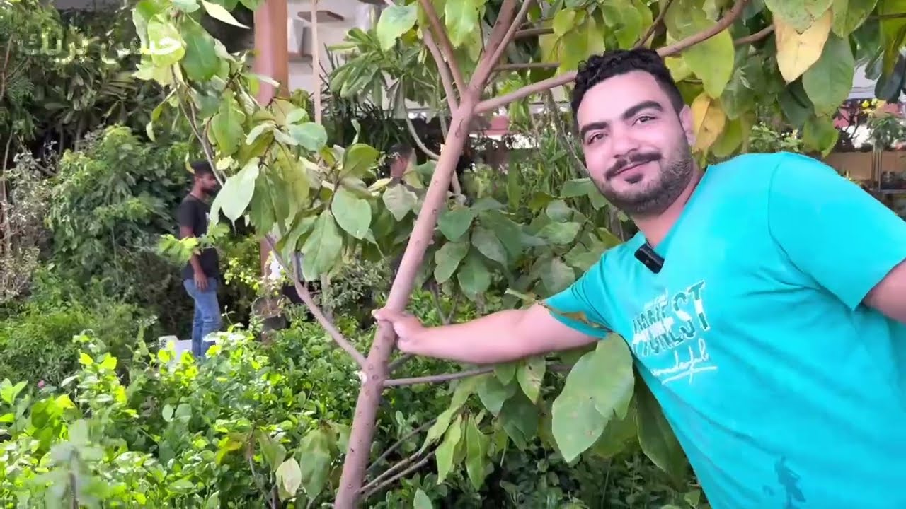 سوق النبتات المدينة المنورة