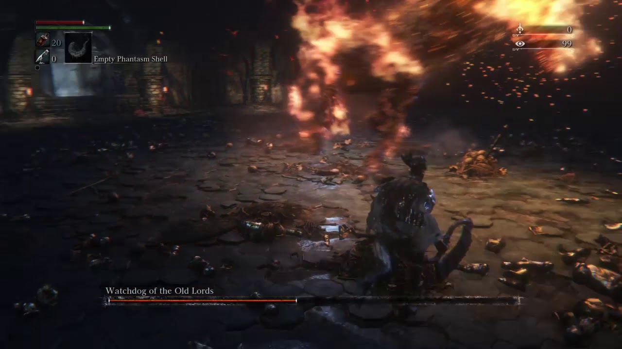 Bloodborne: Defiled Watchdog - No Damage
