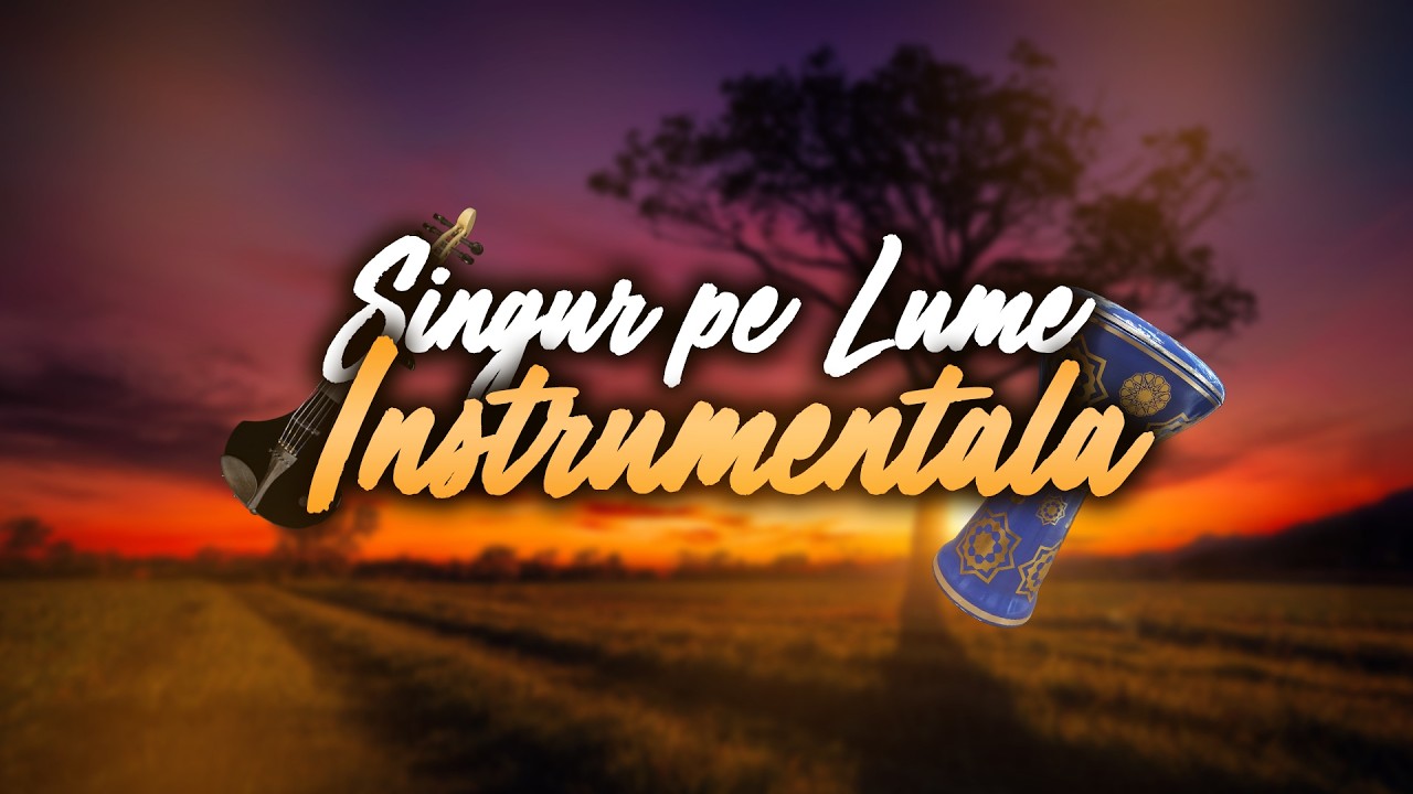 Fane Belgianu' - Singur pe Lumea (Instrumentala Manea)