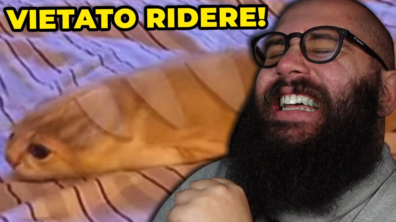 Riusciranno i TikTok dei Miei Iscritti a Farmi Ridere?