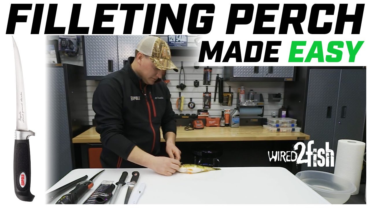 How to Fillet a Perch (Super SIMPLE!)