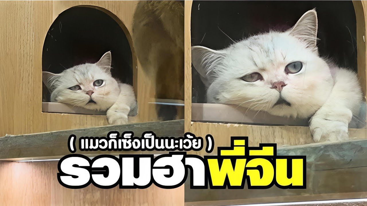 ทำไรก็ทำเลยเพื่อน เราลอยไปนอกจักรวาลแล้ว !! ( พากย์นรก ) รวมฮาพี่จีน