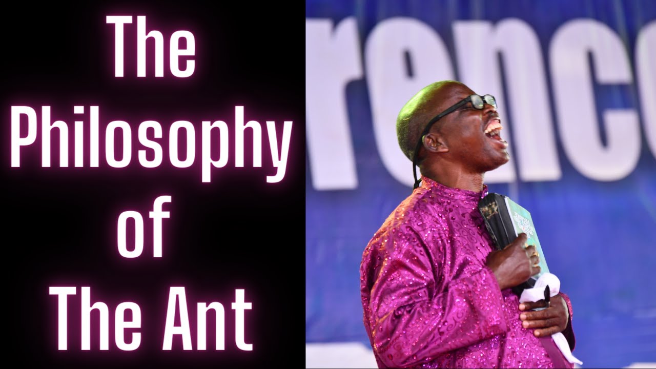 The Philosophy of The Ant