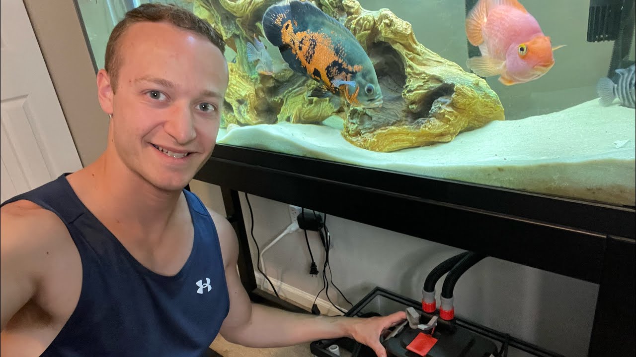 HOW TO CLEAN The Fluval 307 Series Canister Filter (start to finish)