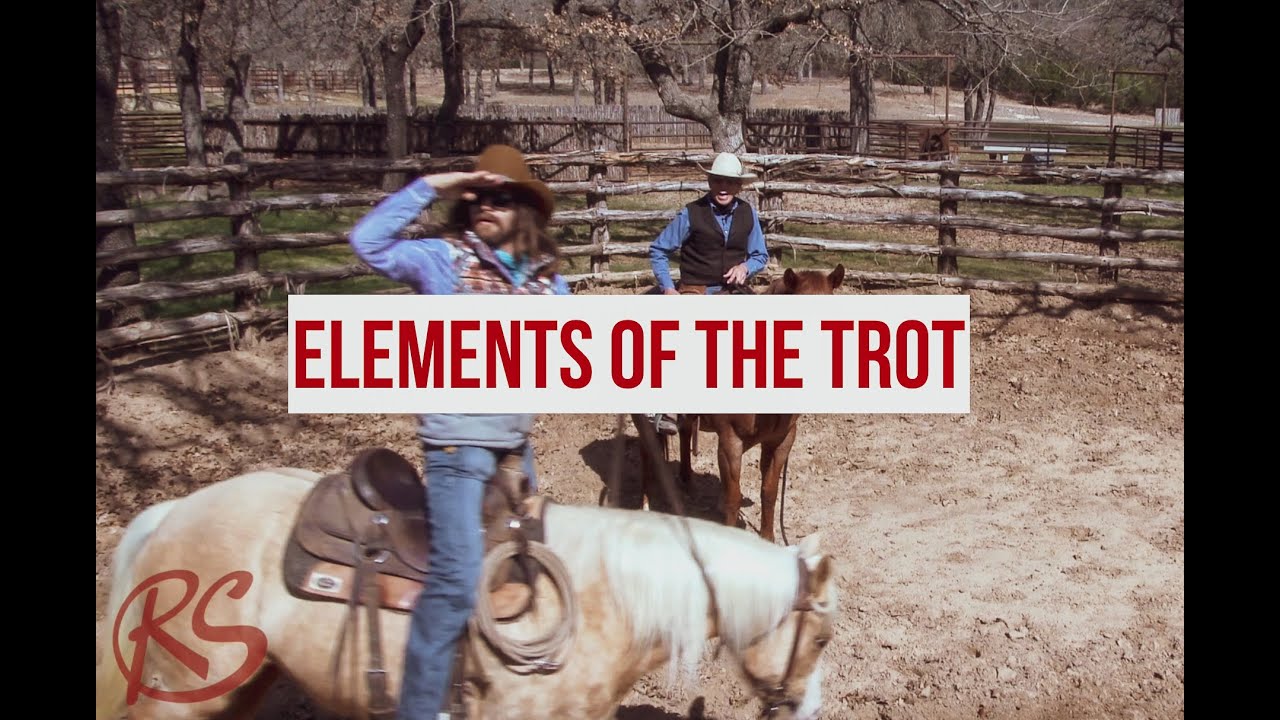 Elements of the Trot with Dale Brisby