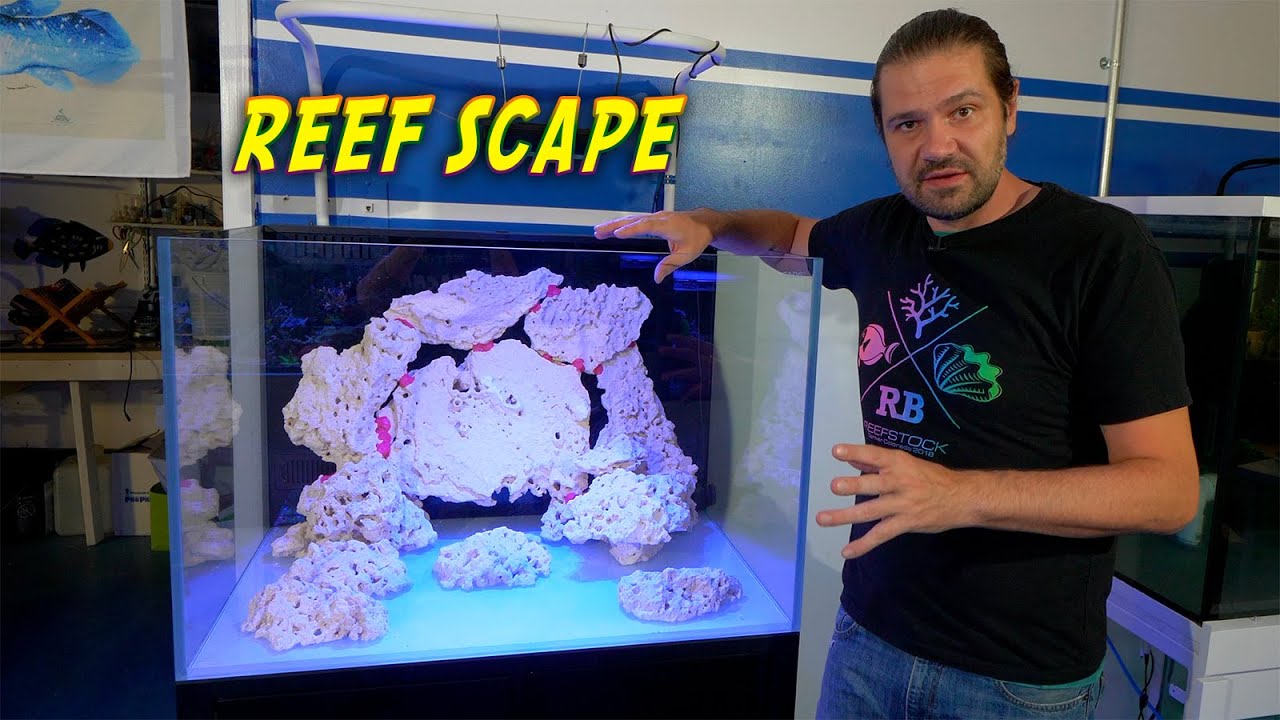 Building the Australian Reef Tank Pt.2: The Aquascape