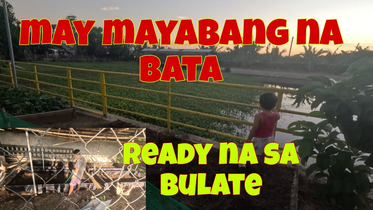 Ready na ang lagayan ng mga bulate | Nagtanim ulit ako ng kangkong at nag harvest ng mustasa
