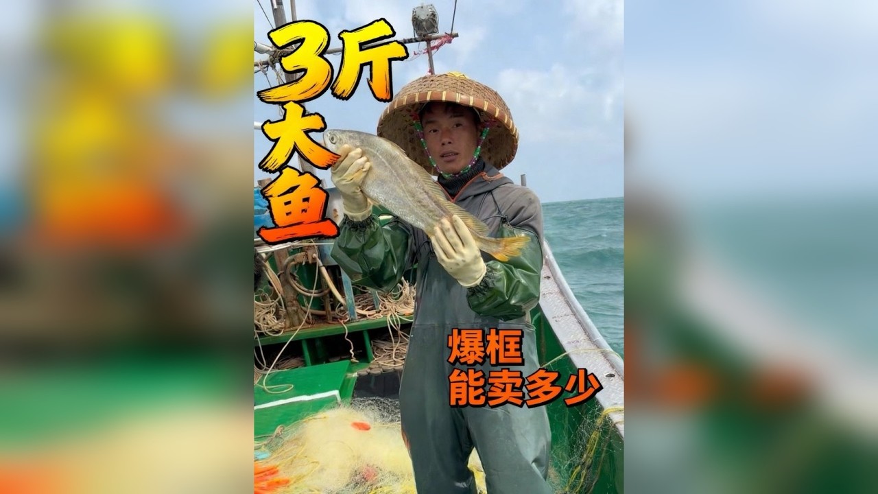 今天连续爆网、看一下我们能抓多少、又有多少收获呢