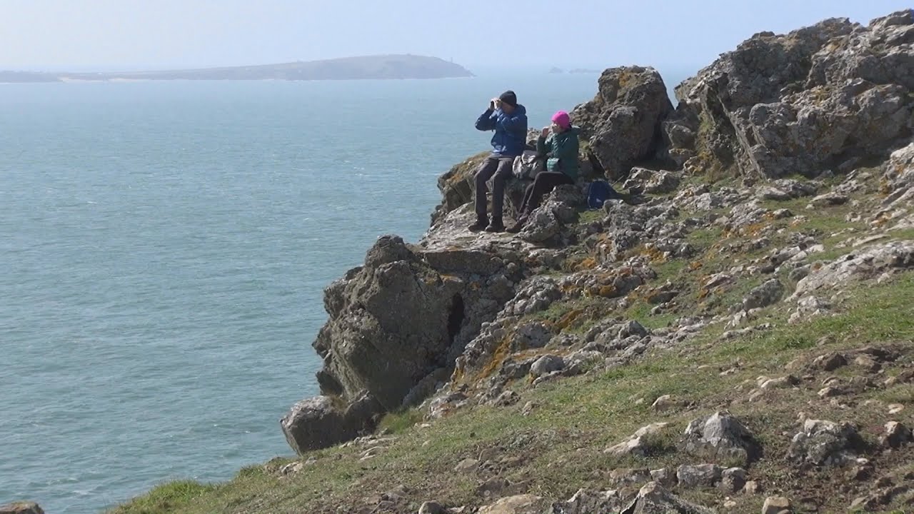 Walk to Pentire Head from Padstow via Rock & Polzeath