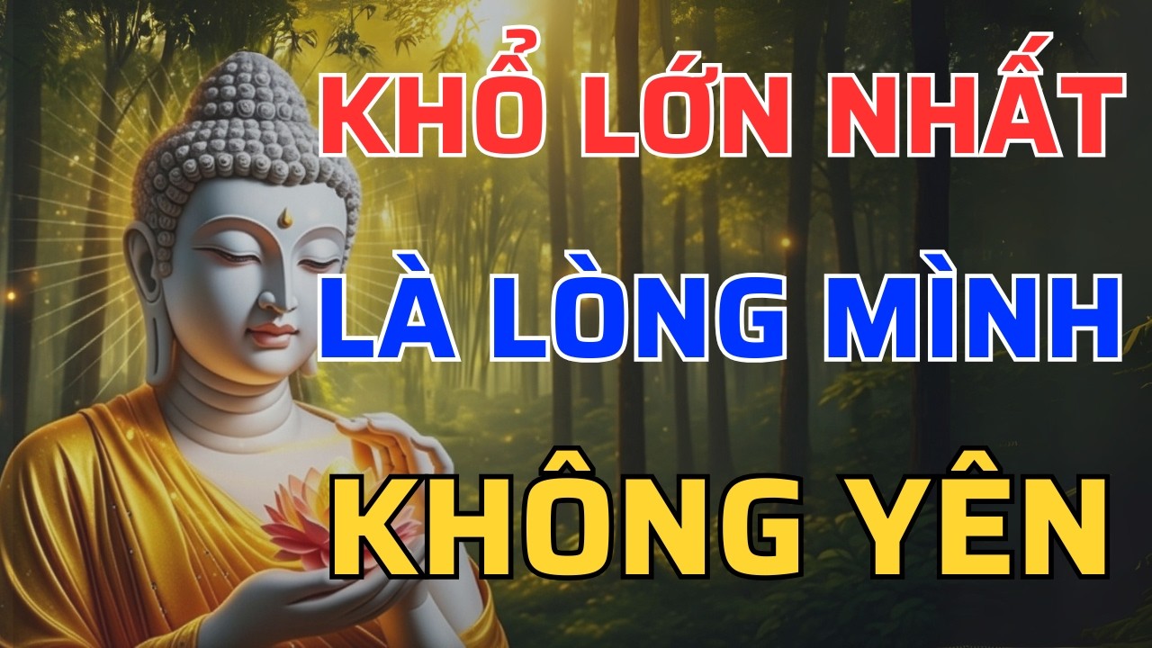 Phật Dạy: Nỗi Khổ Lớn Nhất Không Đến Từ Tiền Bạc, Mà Đến Từ Một Cái Tâm Không Yên