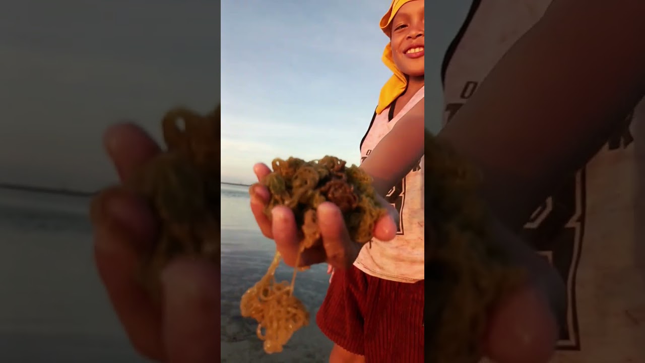 Libre na sud an (lukot, kinhason, isda) 