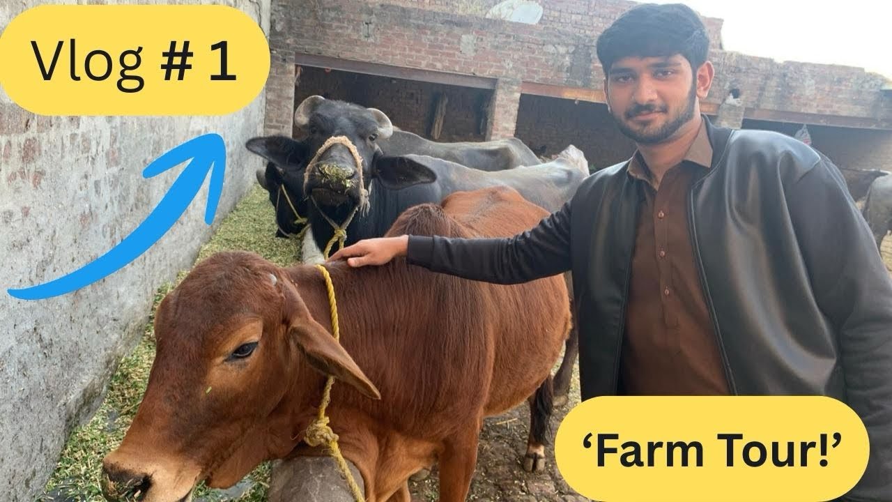 Mera pehla vlog😍 || Village Life Reality 🇵🇰.