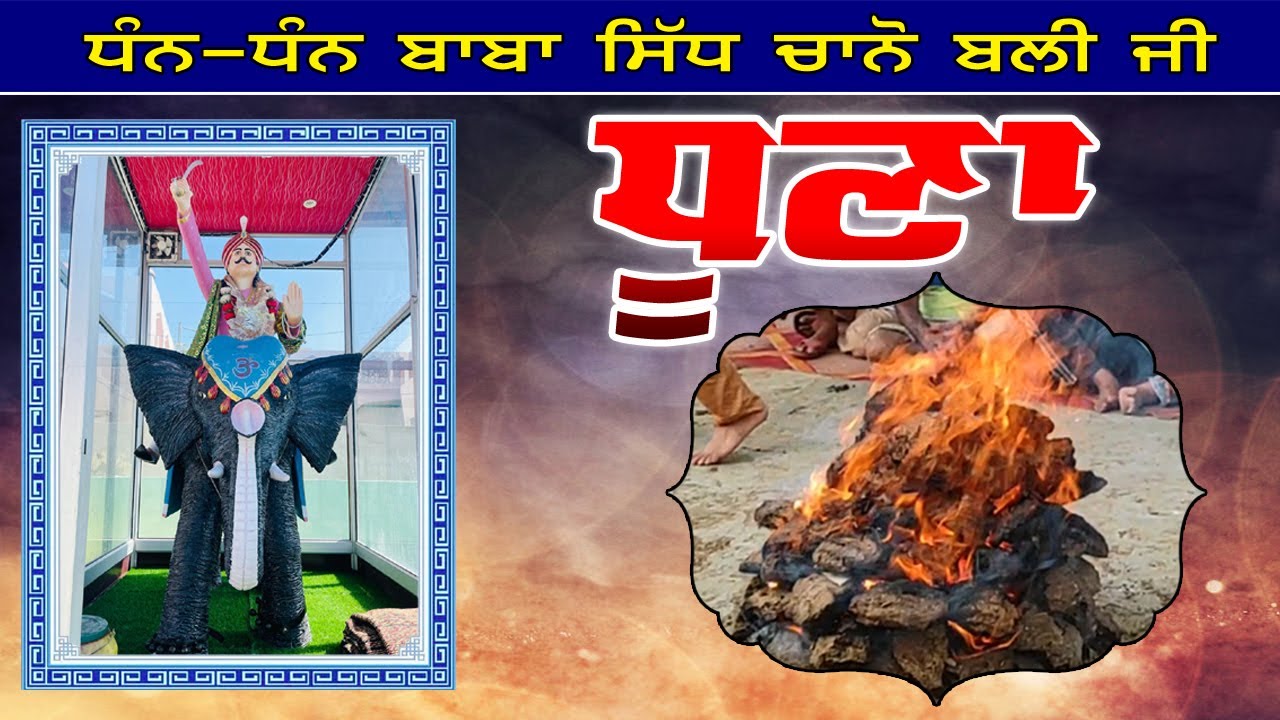 Live Baba Sidh Chano Ji Saal Pind Sahlon ਧੂਣਾ ਬਾਬਾ ਸਿੱਧ ਬਲੀ ਸਰਕਾਰ ਜੀ I Adbi Mehak Production I 2024