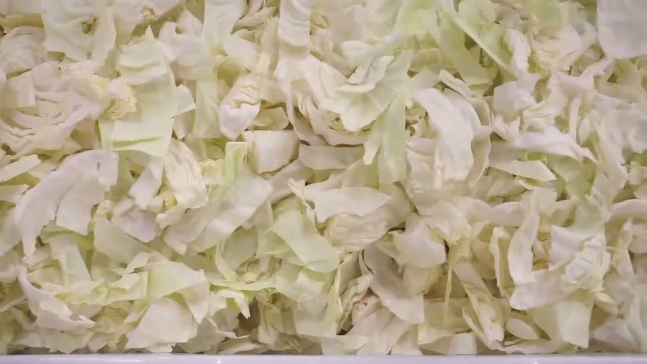 Automatic Vegetable & Fruit Cutting Washing Production Machine, Salad Vegetable Processing Line