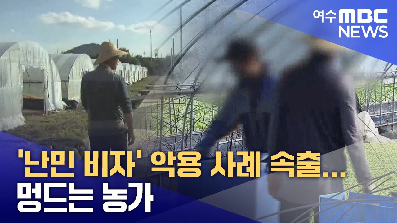 '난민 비자' 악용 사례 속출... 멍드는 농가  -R (251020월/뉴스데스크)