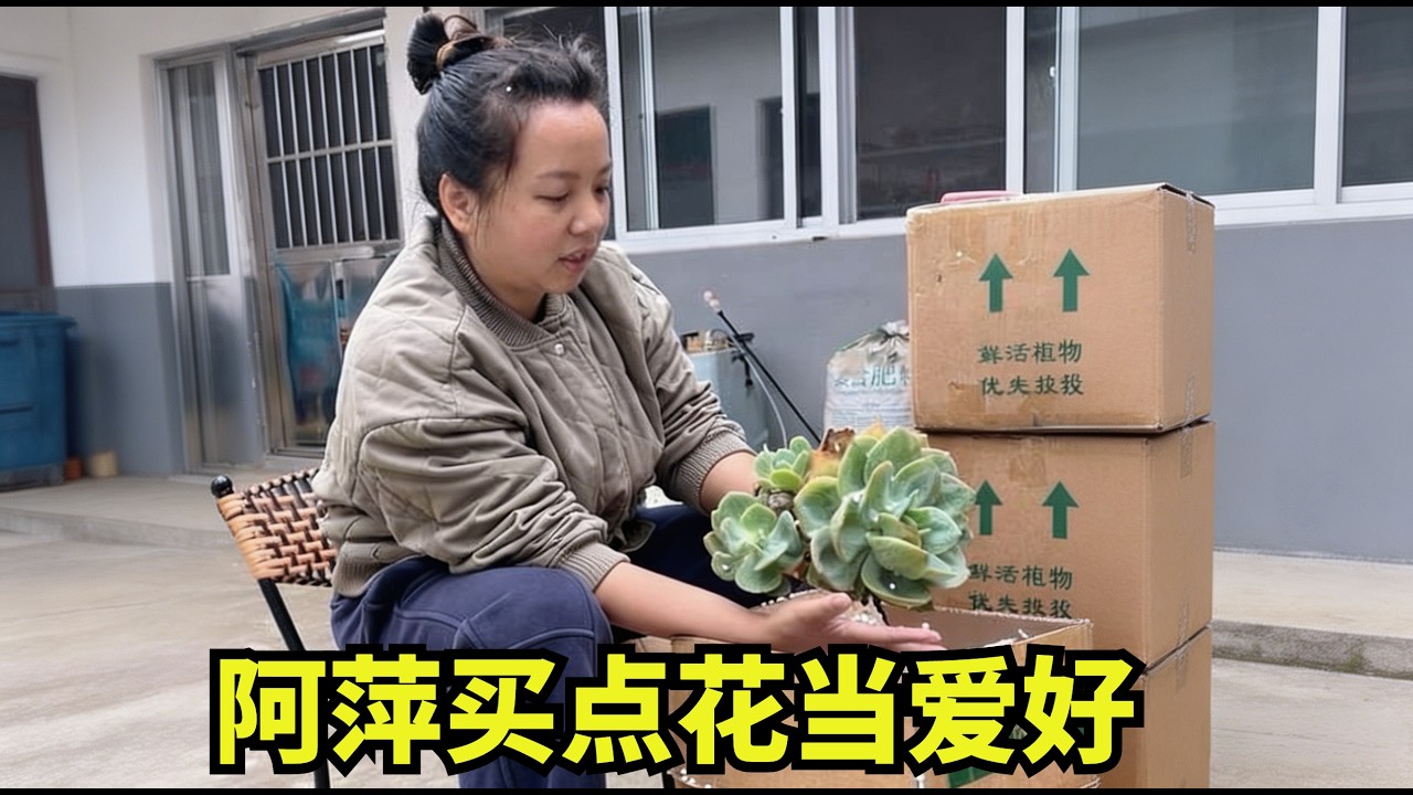 阿萍到河南没有社交，买点花当爱好还被木头哥说，阿萍的一番心里话，木头哥瞬间意识到自己错了！