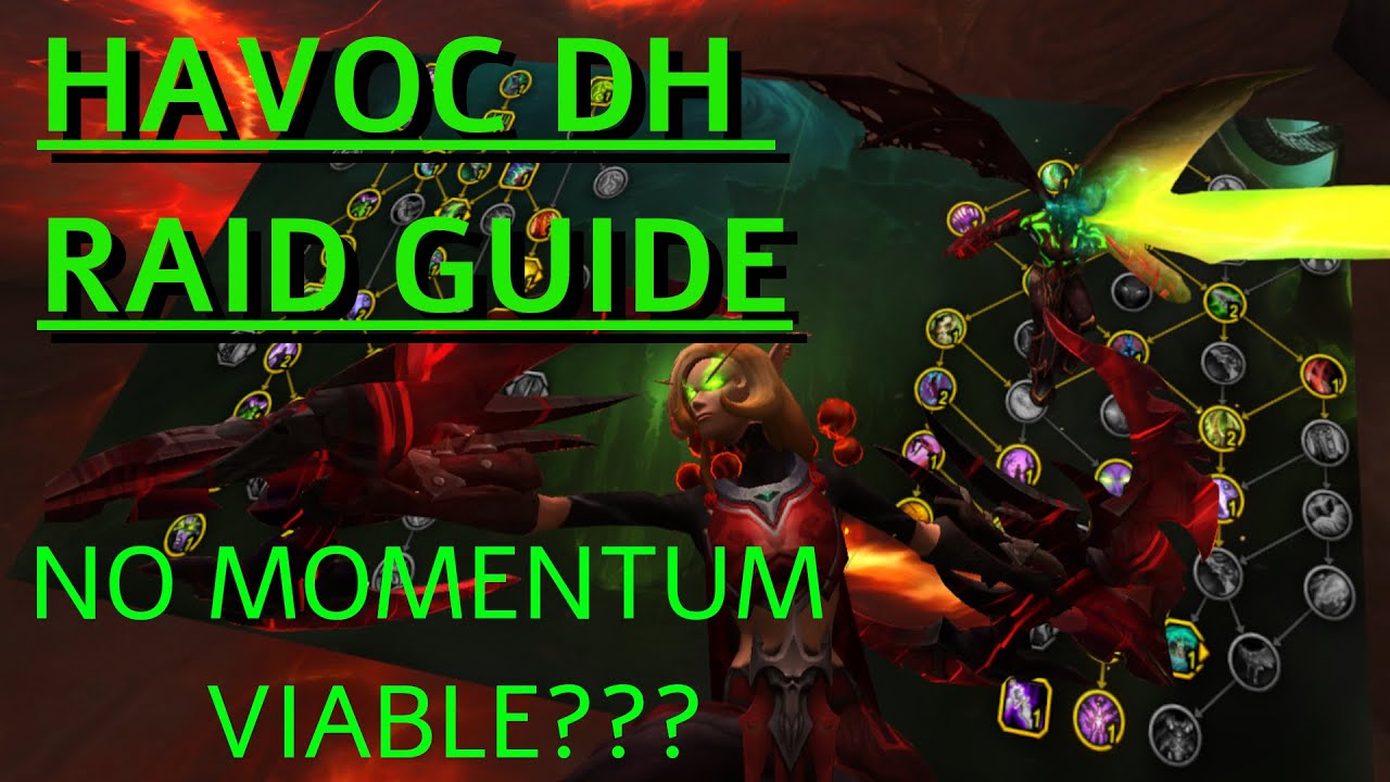 HAVOC DH 10.1.5 DRAGONFLIGHT GUIDE! - No momentum good?