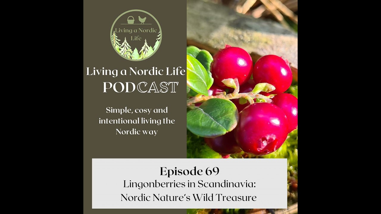 69:  Lingonberries in Scandinavia: Nordic Nature's Wild Treasure