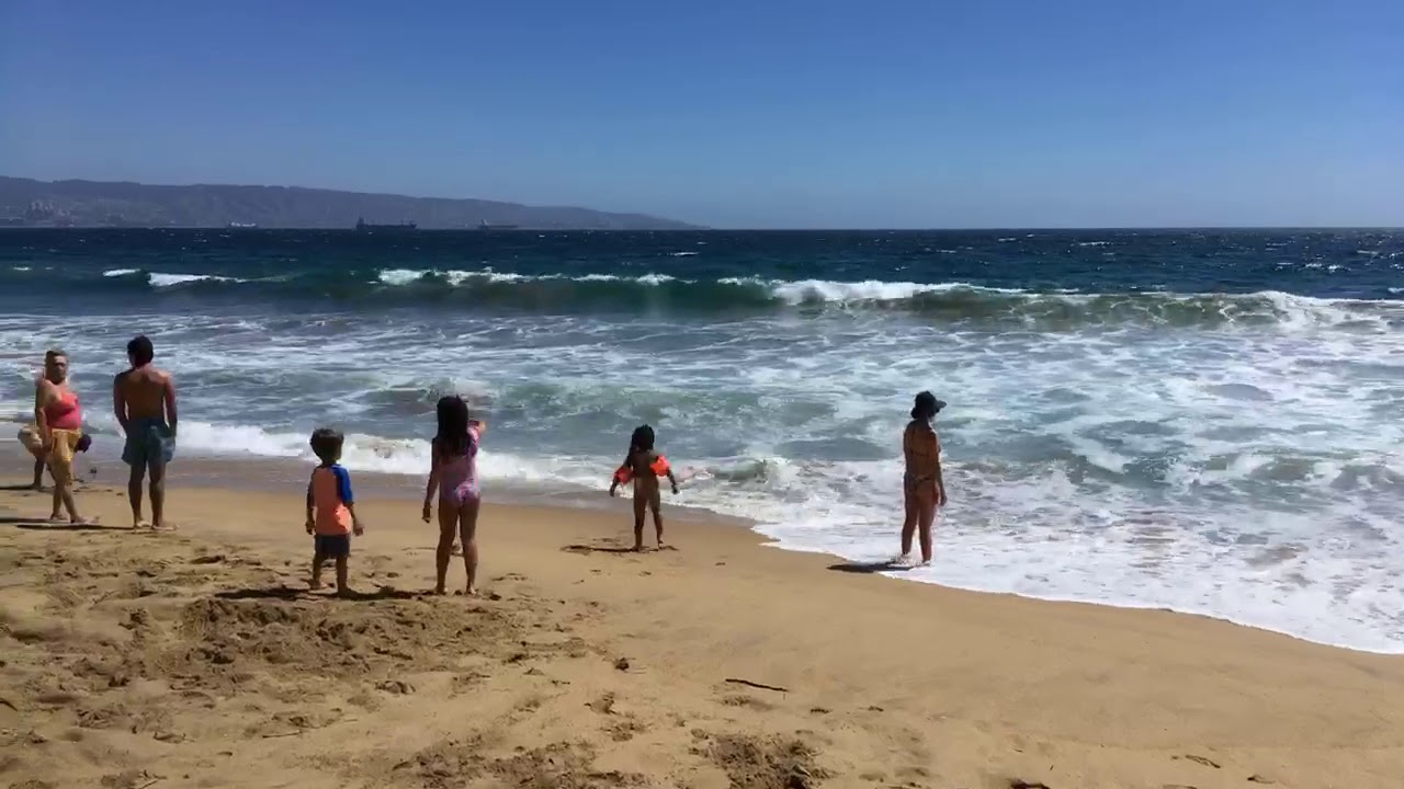 STREAMING Re&ntilde;aca Vi&ntilde;a del Mar Chile #Vi&ntilde;adeMar #Chile #Vi&ntilde;a #Vi&ntilde;a2019