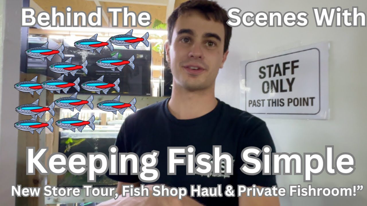 Behind the Scenes with Keeping Fish Simple New Store Tour, Fish Shop Haul & Private Fishroom