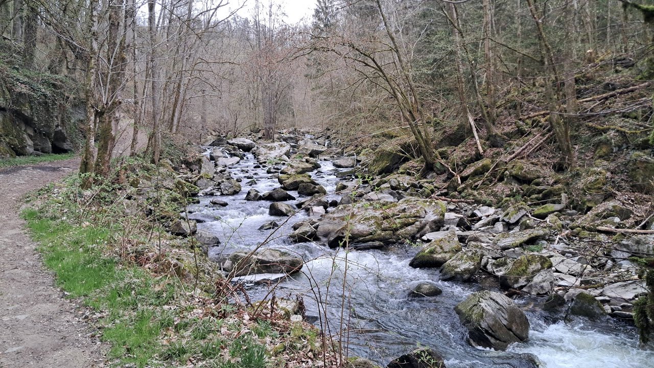 Stepping Stones: A Small Family Adventure in Gramastetten in Austria