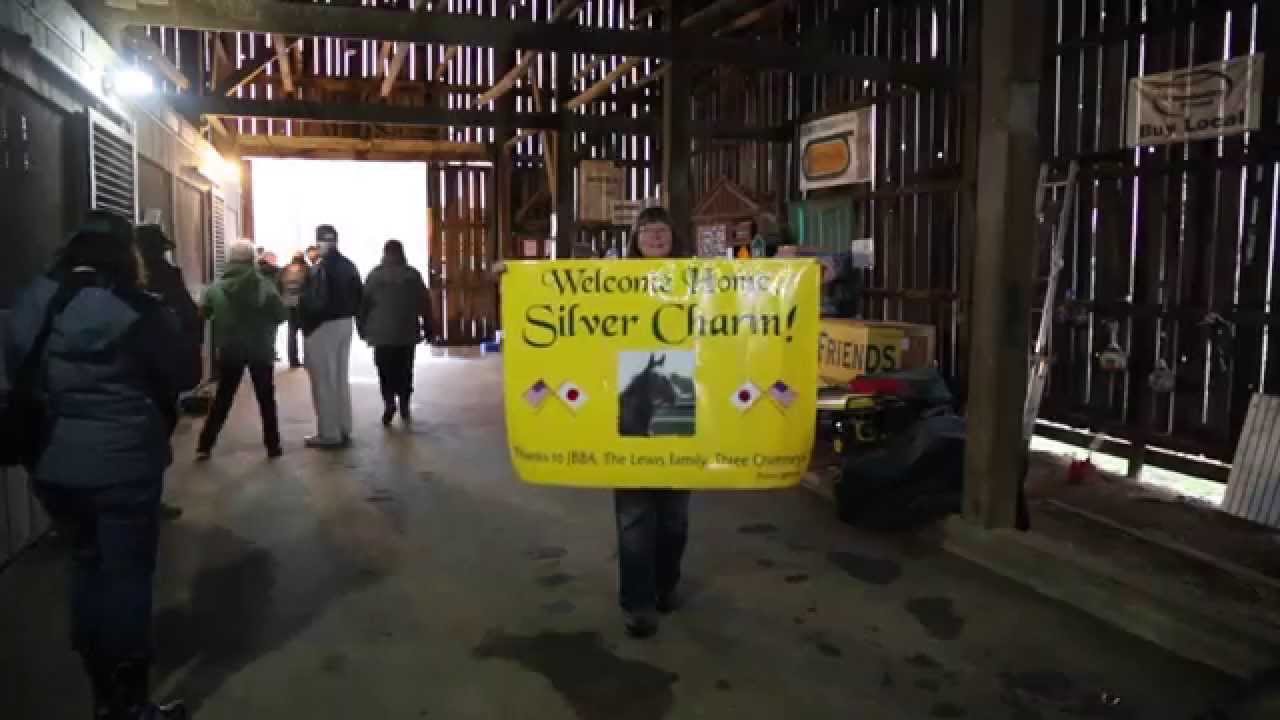Silver Charm arrives at Old Friends