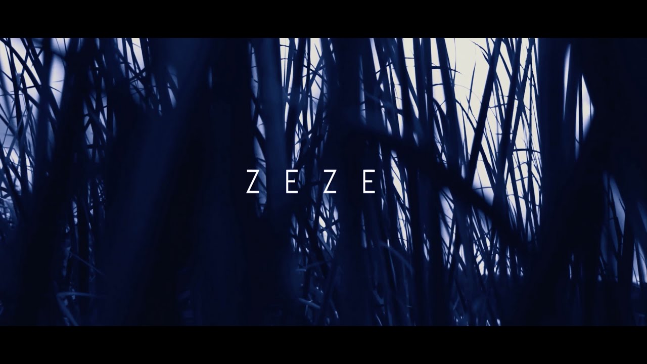 Zeze - Bataklık