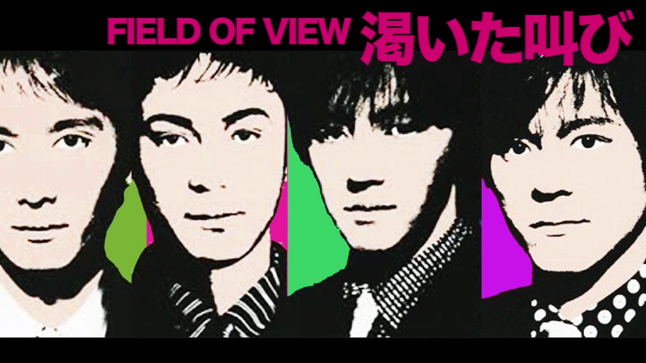FIELD OF VIEW / 渇いた叫び