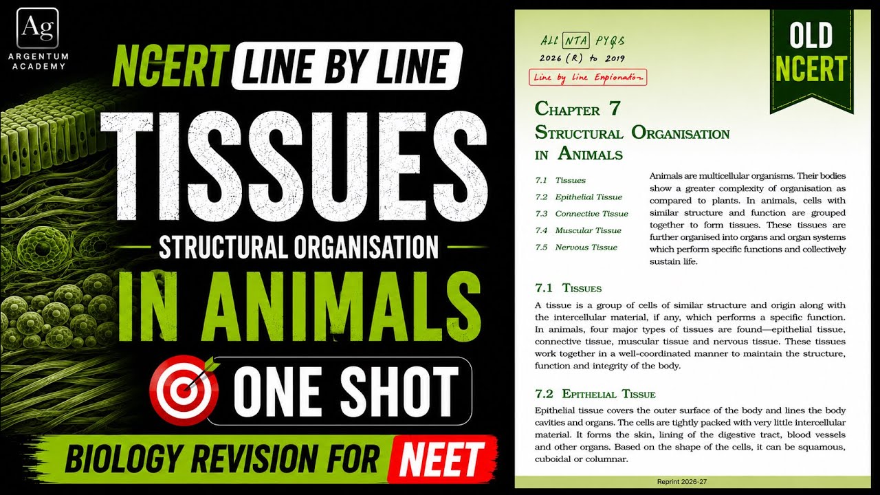 Structural Organisation in Animals: TISSUES NCERT Line by Line Explanation | Biology Oneshot | NEET