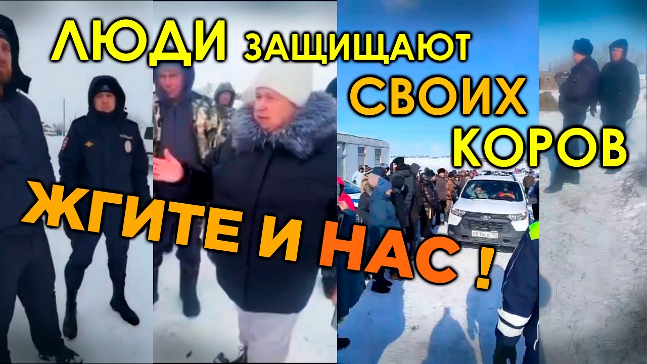 ❗️ СИБИРЯКИ ВСТАЮТ на ЗАЩИТУ ДОМАШНЕГО СКОТА. СМОТРЕТЬ ДО КОНЦА!