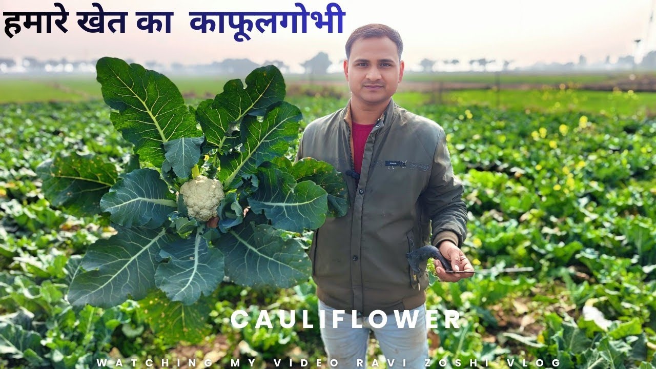 Aaj Mera Bhai jarha hai aapne ghar uske liye kate phulgobhi