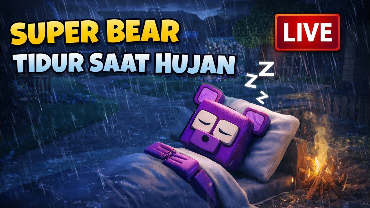 SUPER BEAR MAIN MALAM