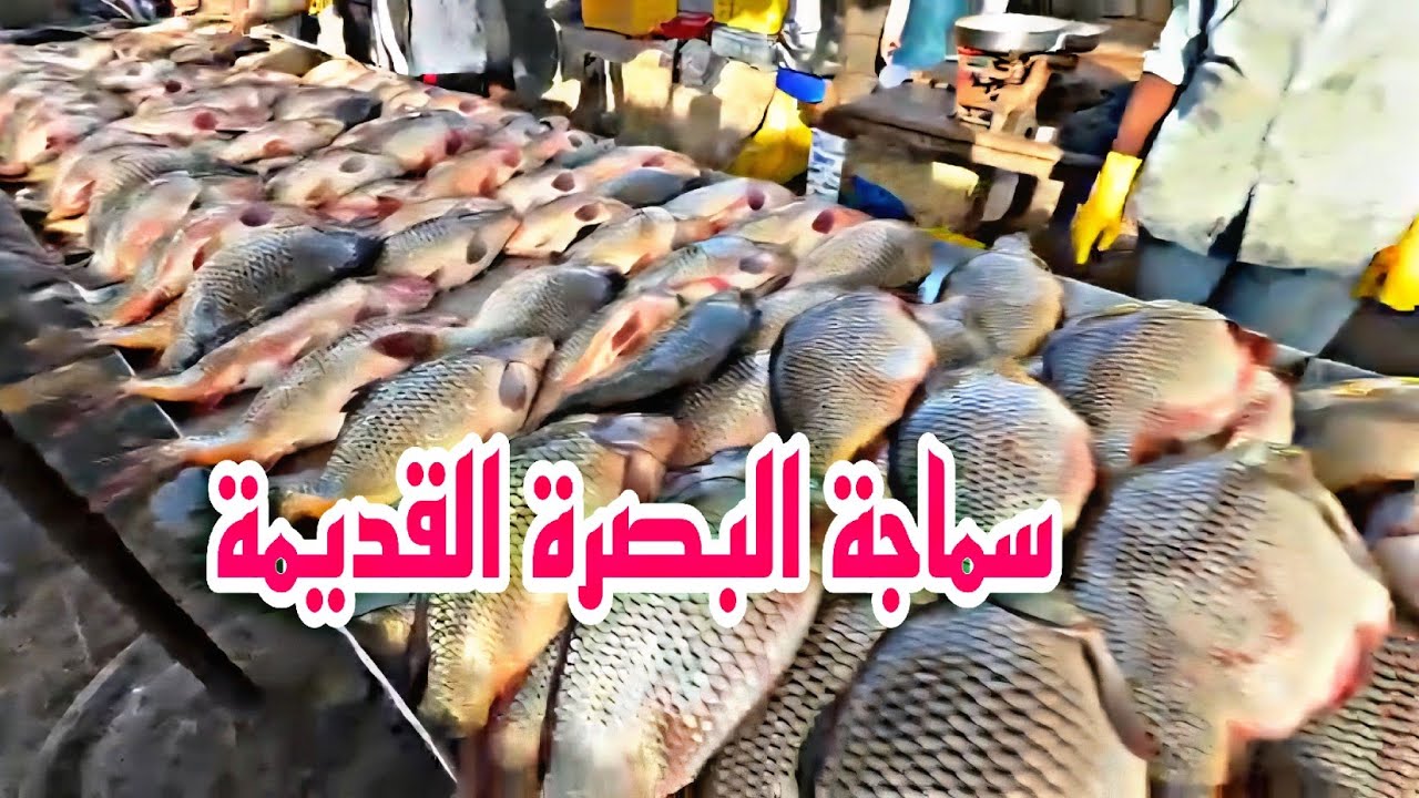سوق البصرة القديمة سماجة البصرة مع ارتفاع نسبة الأسعار في شهر رمضان المبارك#أحمد_مهدي 