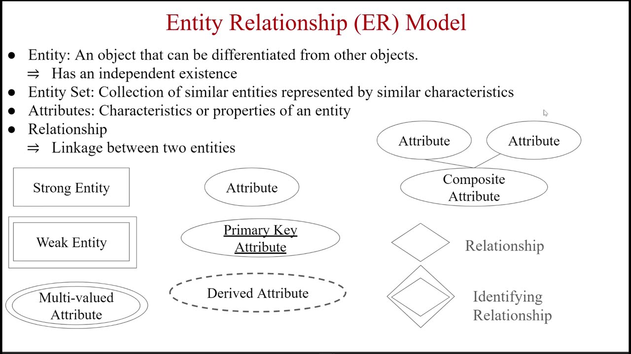 Entity Relationship Model Notations explained with real-world examples #ermodel #database