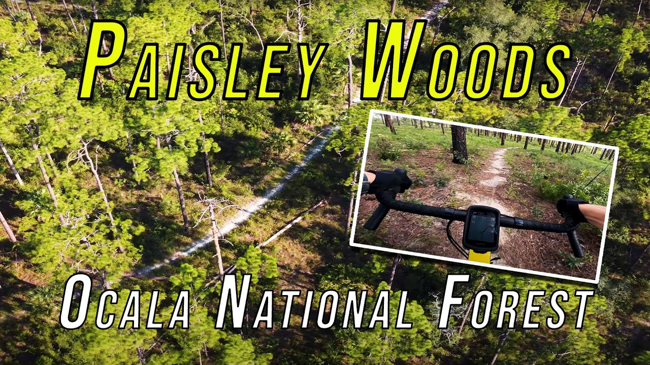Paisley Woods Bike Trail | Orlando's Best Gravel Routes