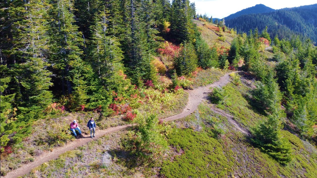 10 Mile hike in British Columbia! (Elk Mountain Trail)