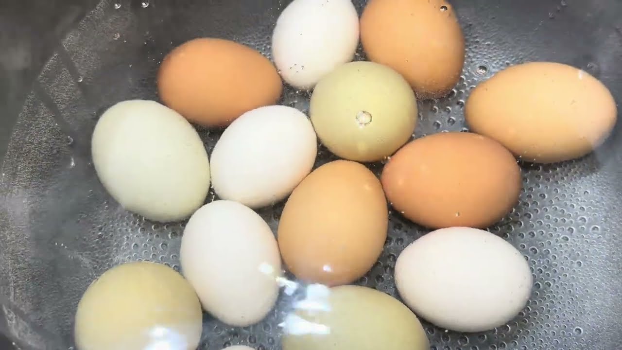 🇬🇾 MAKING FRY BUTTER FISH FROM GUYANA 🇬🇾 | MAKING BOILED & FRY CHANNA & ORGANIC FARM EGGS | CHATTING