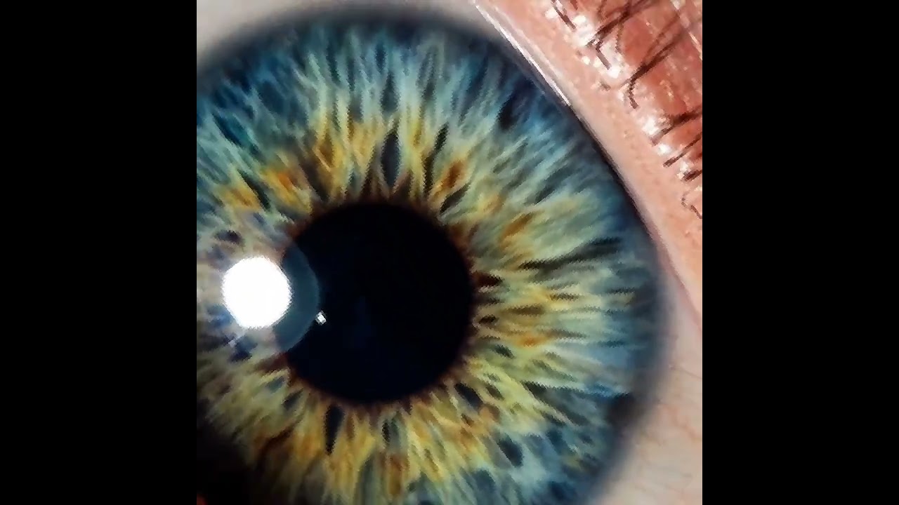  “Live Without Looking Back”