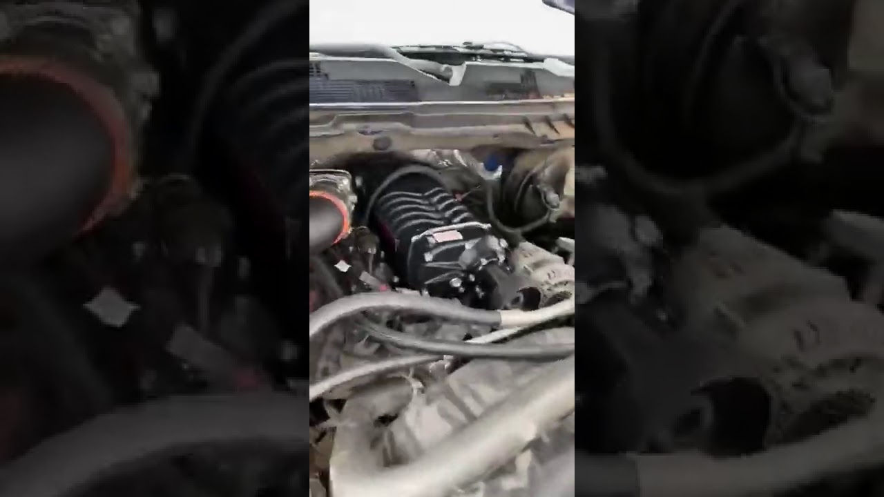 Whipple ram rt with cam 🥛🍪