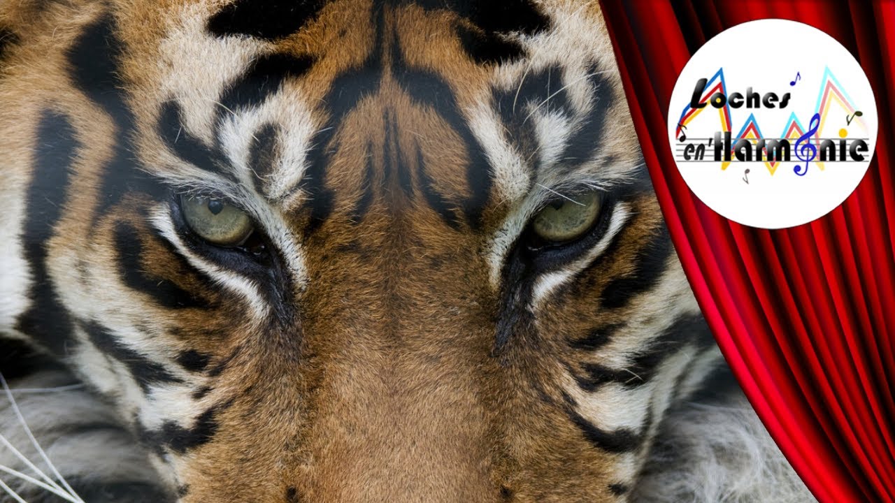 Eye of the Tiger (Arr. Rieks van der Velde)