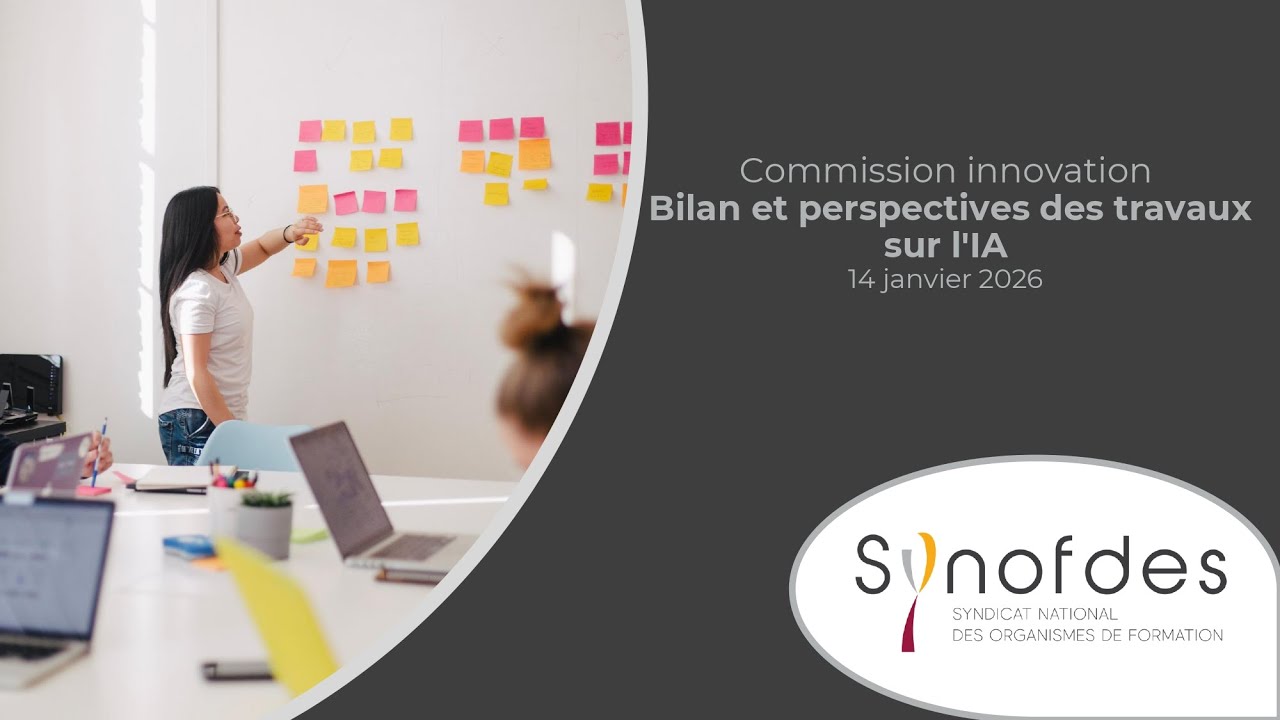 Webinaire Synofdes IA  Bilan et perspectives des travaux de la commission innovation