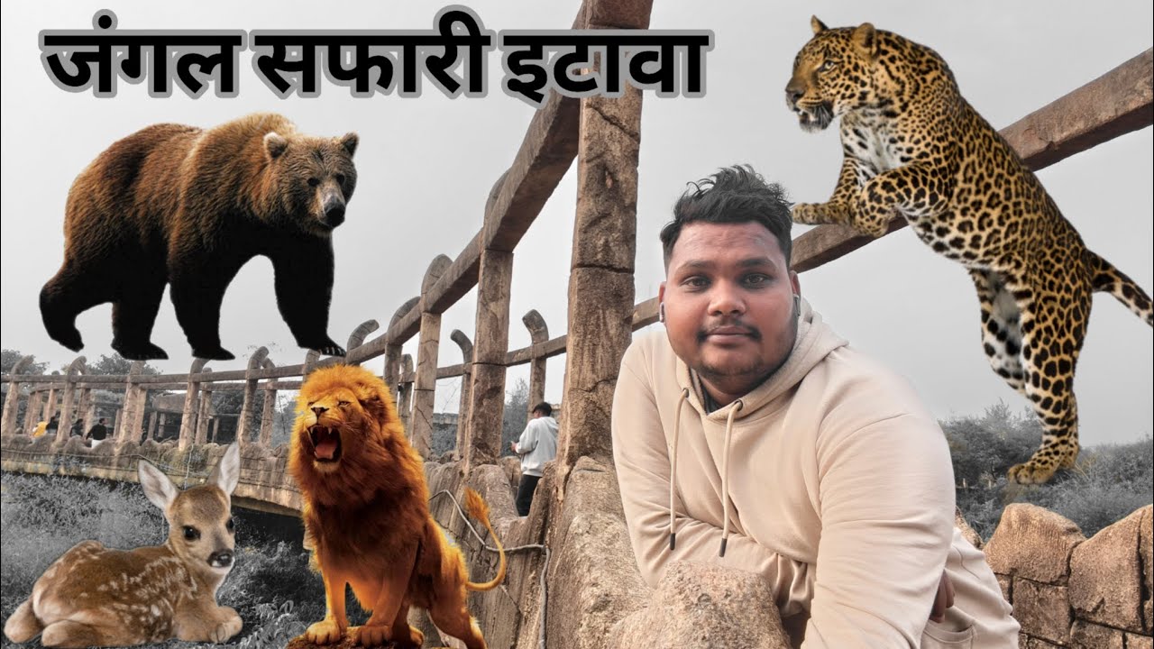🏞️🏍️🦁इटावा का जंगल सफारी फूल मनोरंजन wellcome to jangal safari Etawah #bharat #Etawah #barabanki🦁🚂
