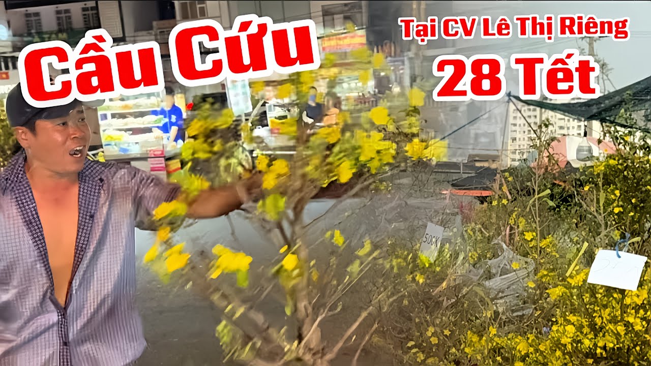 CẦU CỨU Đồng Hương Ơi , Bán Như Cho Về Ăn Tết Nghẹn Nghào Nghe Anh Kêu Cứu Tối 28 Tết 