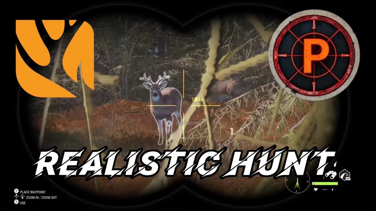 Realistic Hunt With a Bow in a Tree Stand!