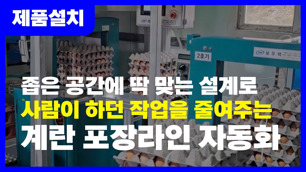 #거점소독소 #계란밴딩기 #계란결속기#강원도설치#높이제한적인곳에 설치#5판도 밴딩#벨트컨베어#에어제로 밴딩라인 # 대만산 밴딩기 # TRANSPAK #TP-702-59#서보제어