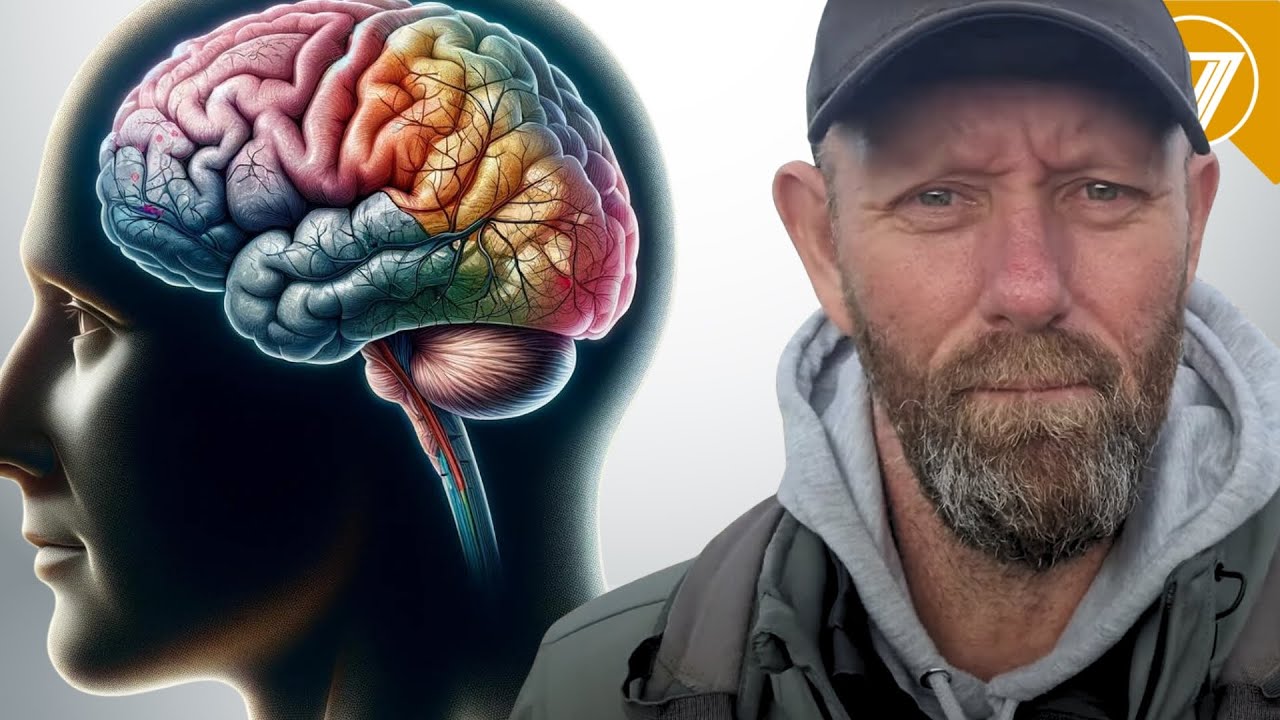Why Is Alcoholic Wet Brain a Bigger Risk for Binge Drinkers?