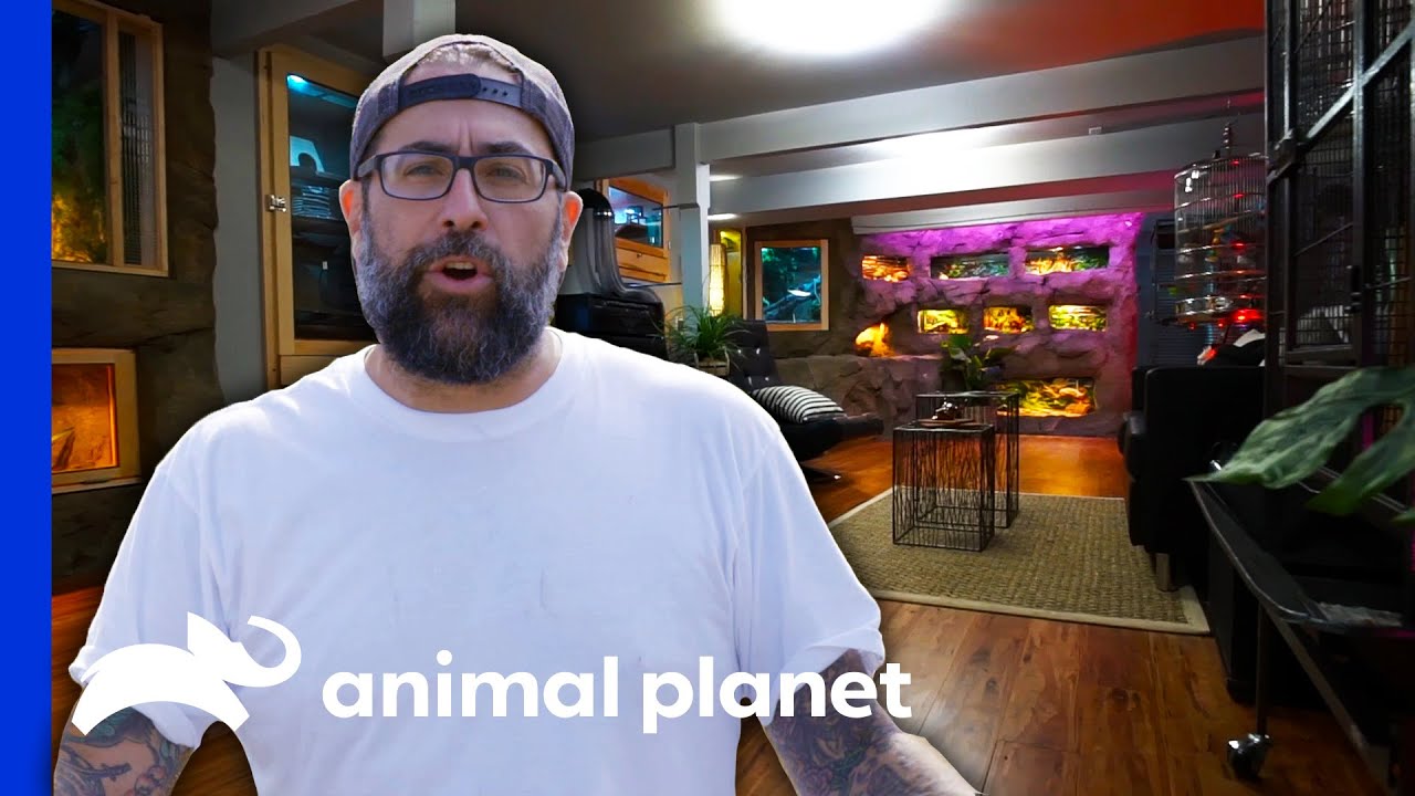 Building The Perfect Cave For 22 Animals In A Basement | Animal Cribs