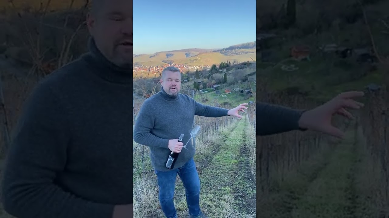 2019 Riesling Gipskeuper